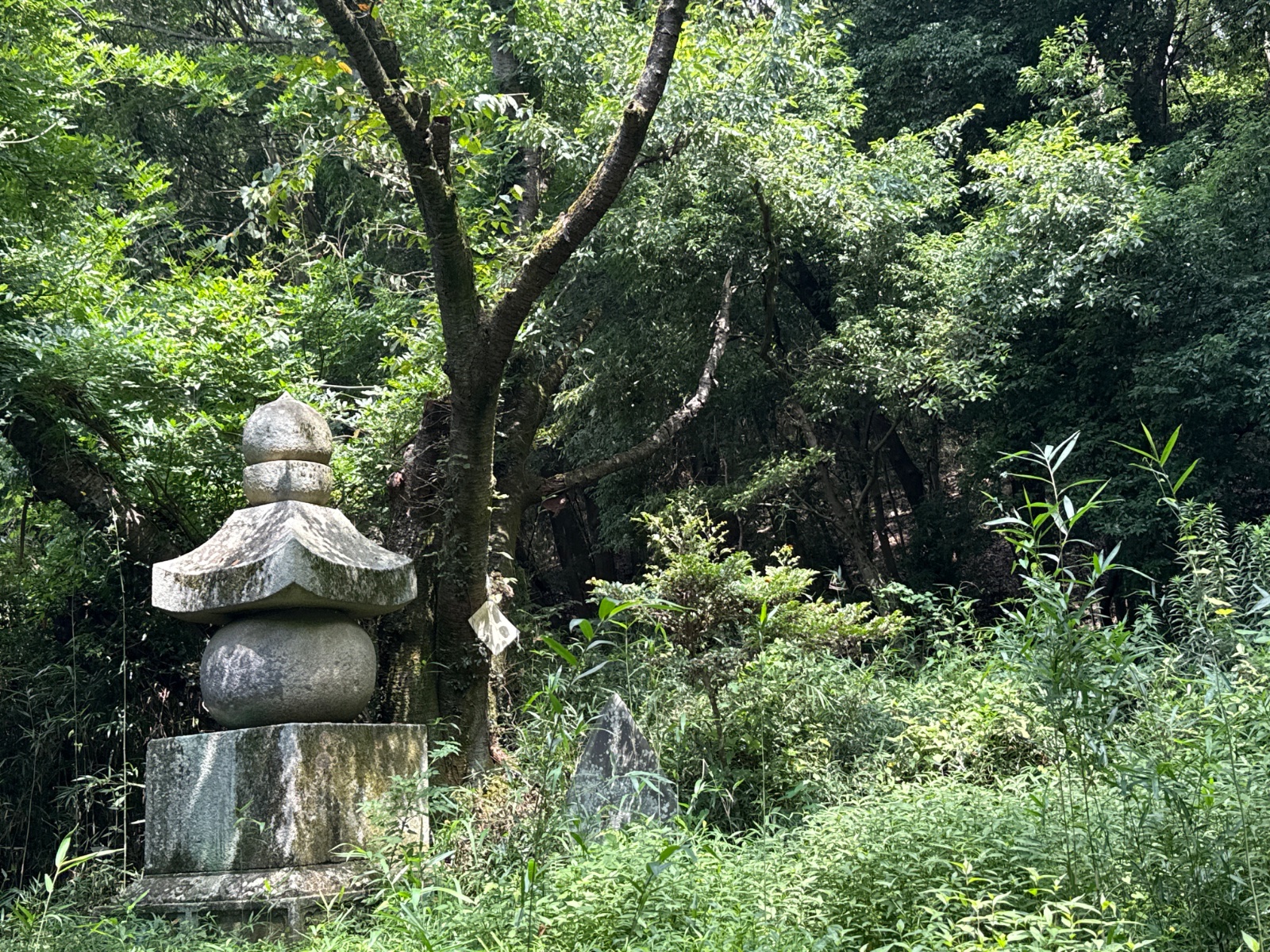 三村山清冷院極楽寺 石造五輪塔