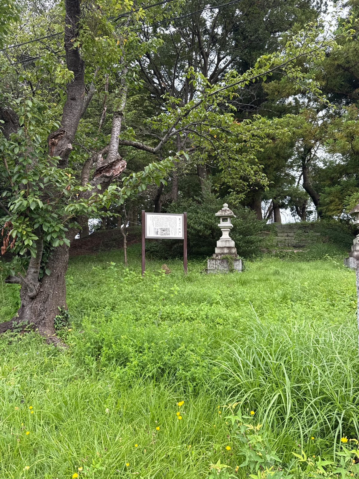 八幡塚｜桜川流域最大級の前方後円墳
