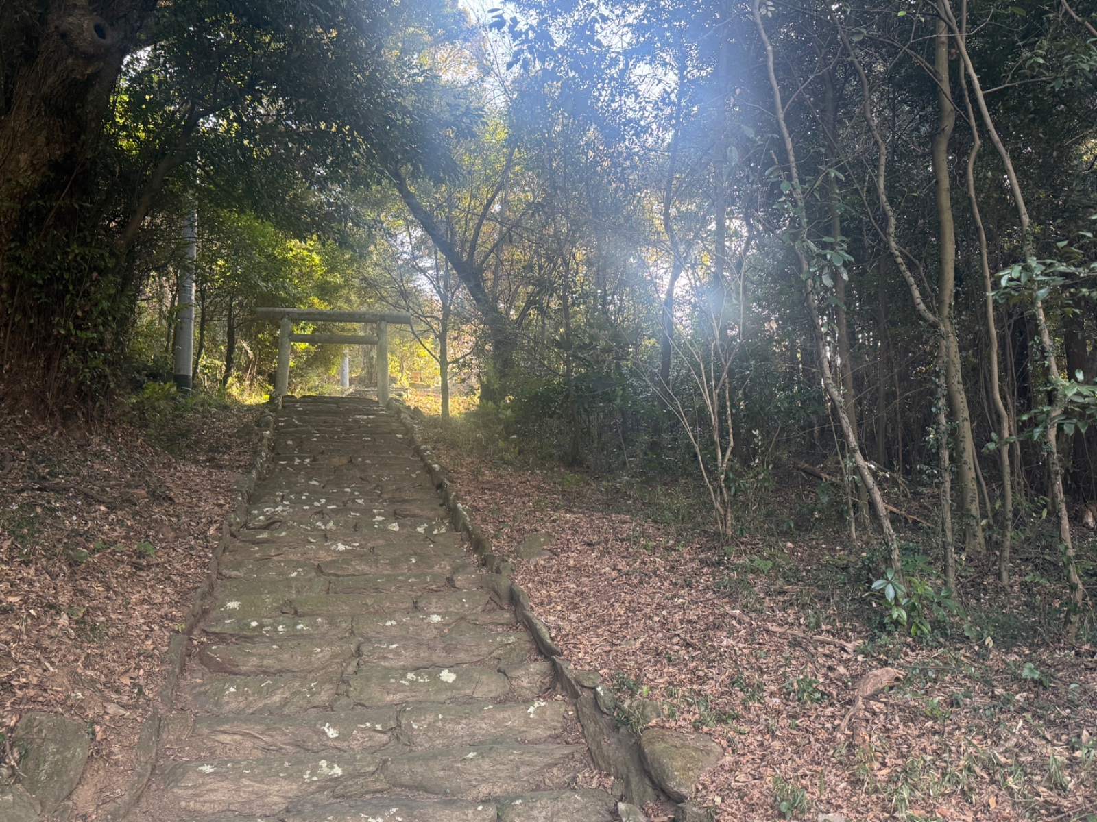 蚕影神社｜金色姫伝説と養蚕信仰の丘