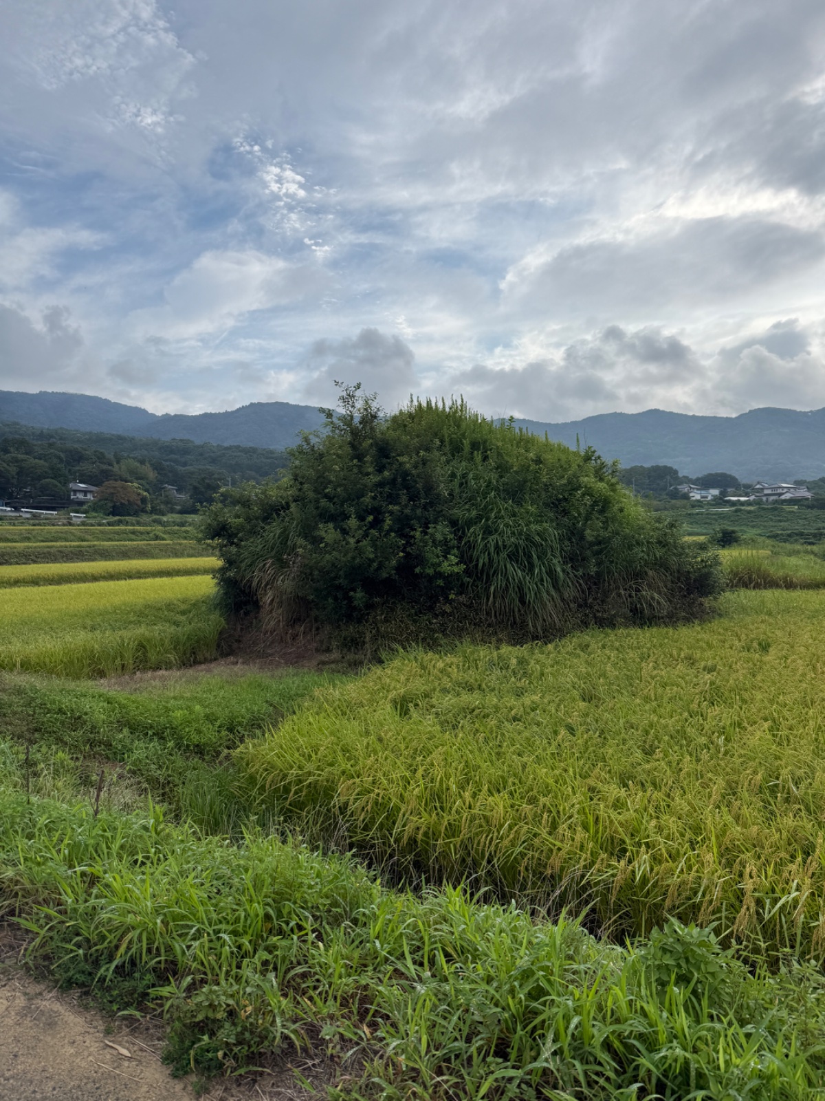 大塚｜筑波を望む田の中の塚