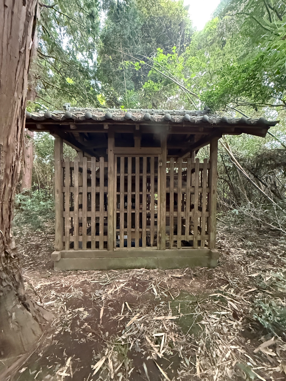 晴明神社｜陰陽師の伝説、五芒星宿る鎮守の杜