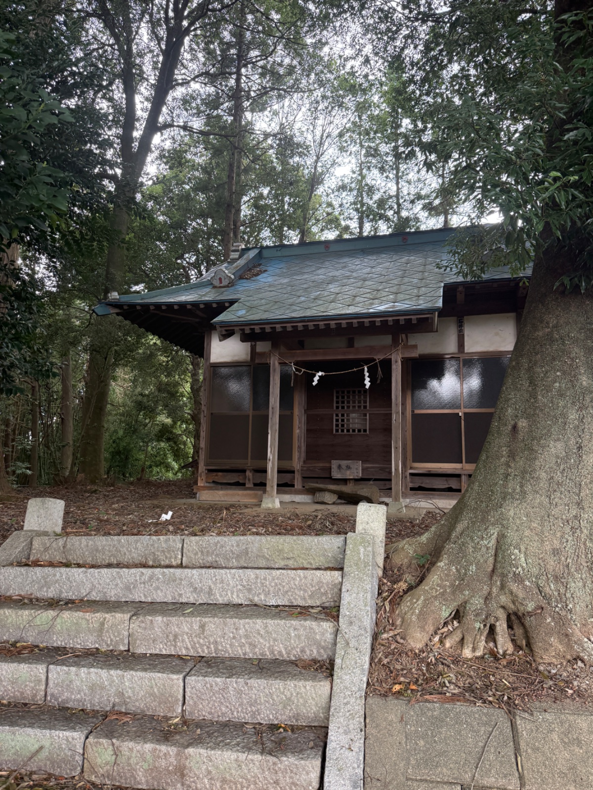 熊野神社｜鷺島の丘の熊野神社