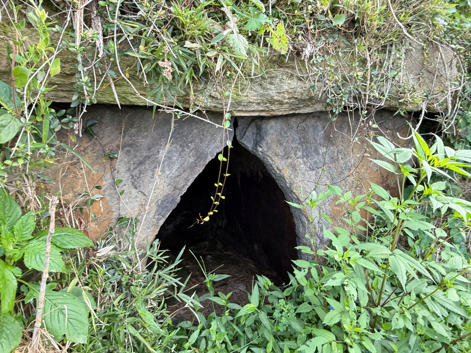 平沢一号墳｜古墳時代の横穴式石室、常陸の丘に