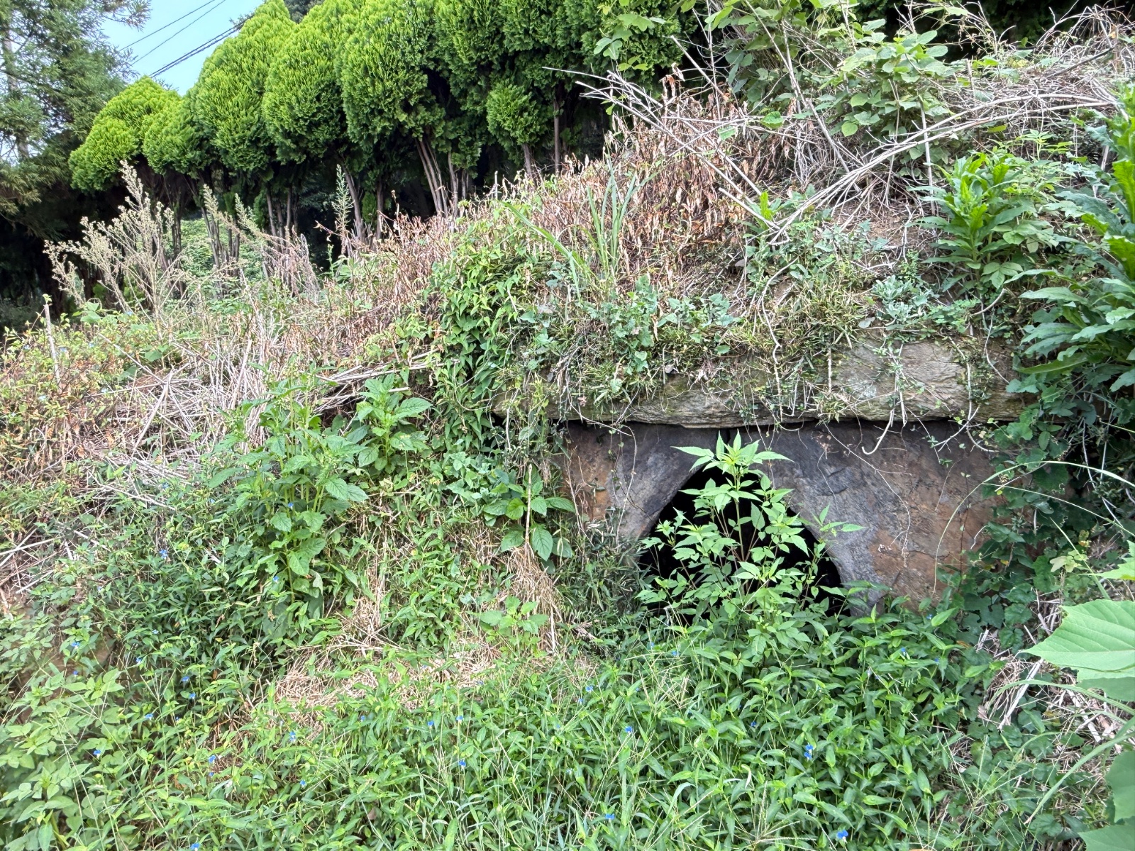 平沢一号墳の記録写真