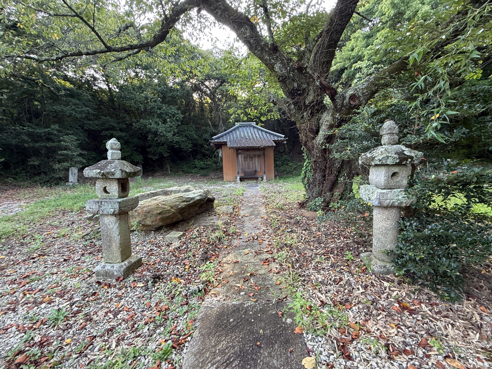 薬師堂｜薬師堂と、屋根を継いだ里の名