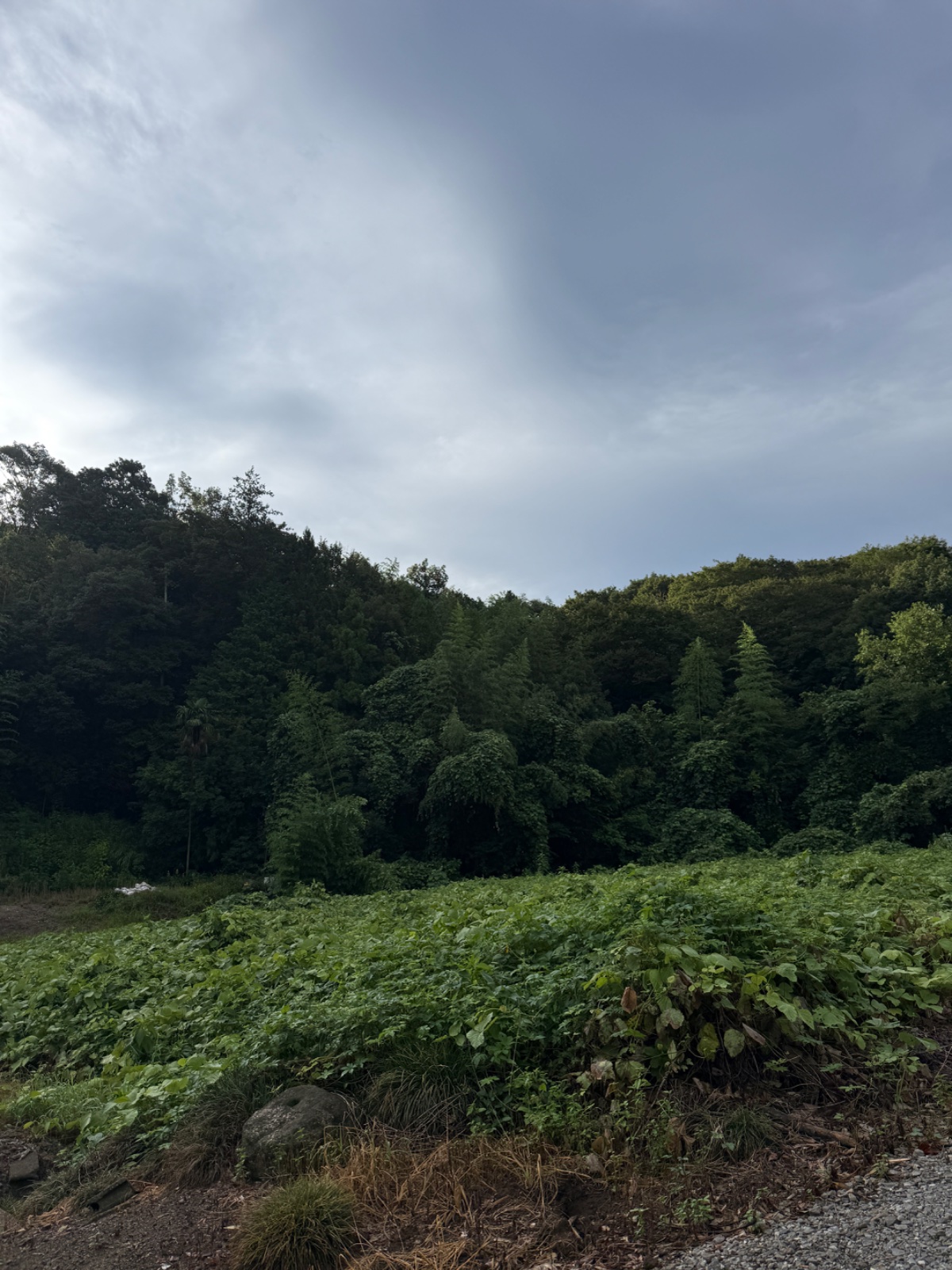 多気城跡｜筑波の麓の城跡