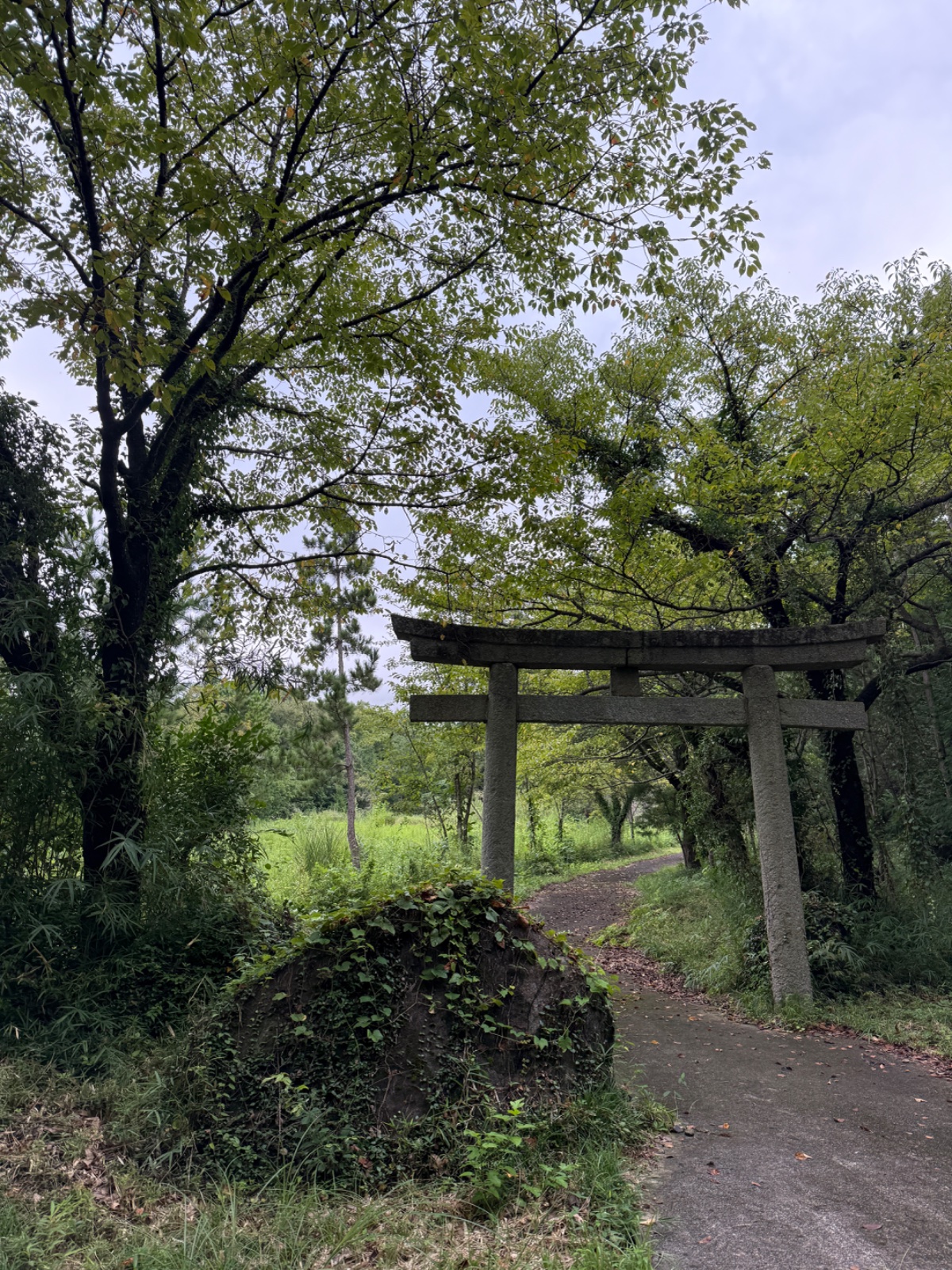 臼井八坂神社｜筑波の裾、磐座に鎮まる荒ぶる神