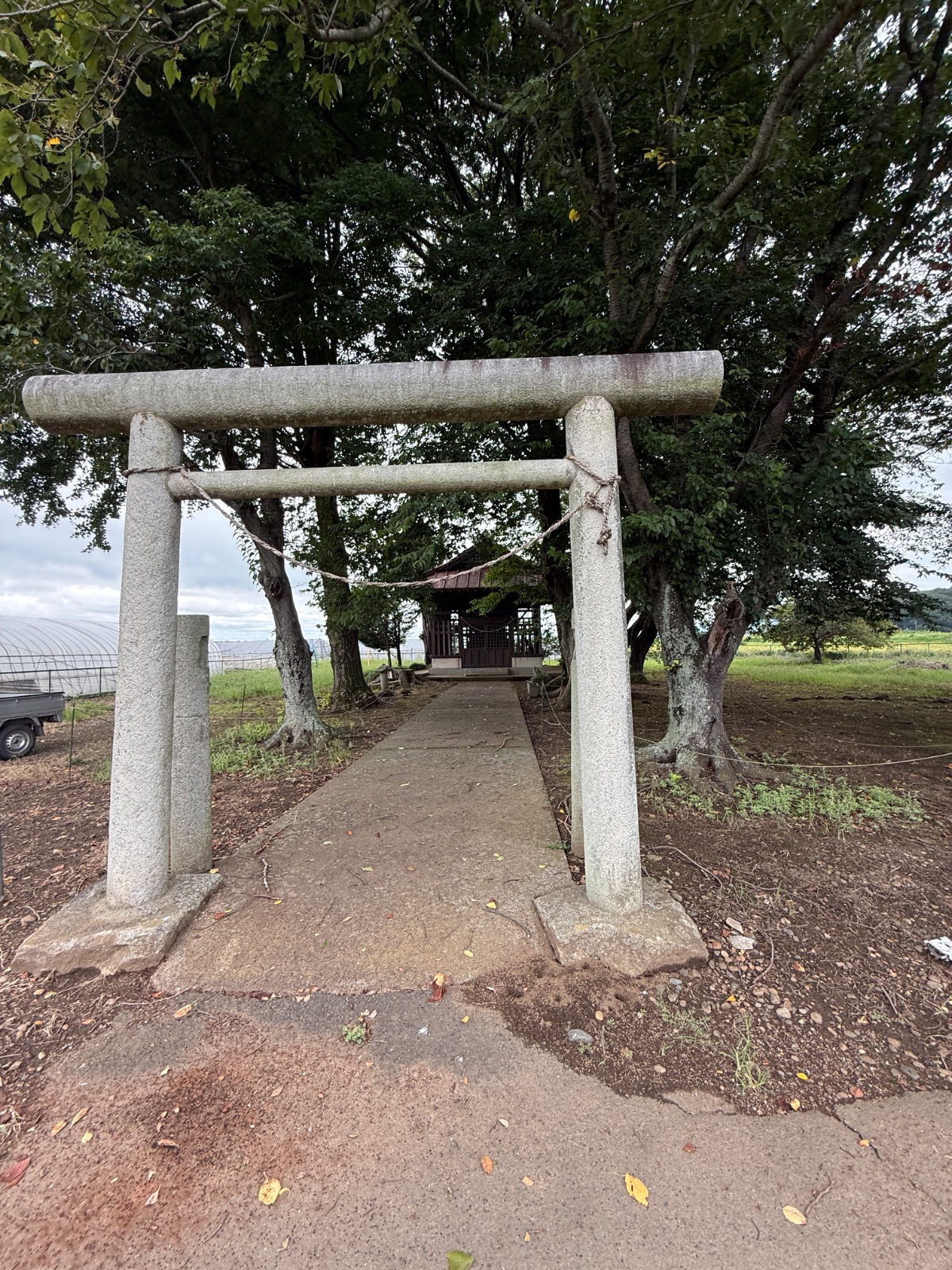 判読不能（有田の鎮守社）｜盗まれた木彫の社