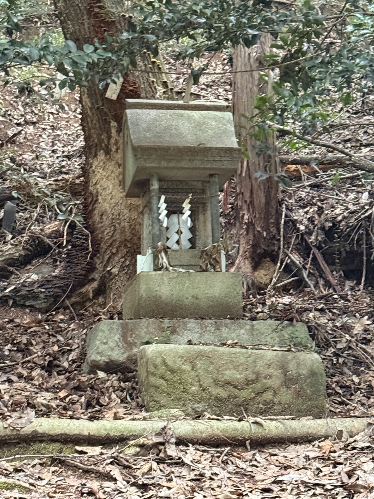 武頭神社｜杉木立に伏す、武の名を負う小祠