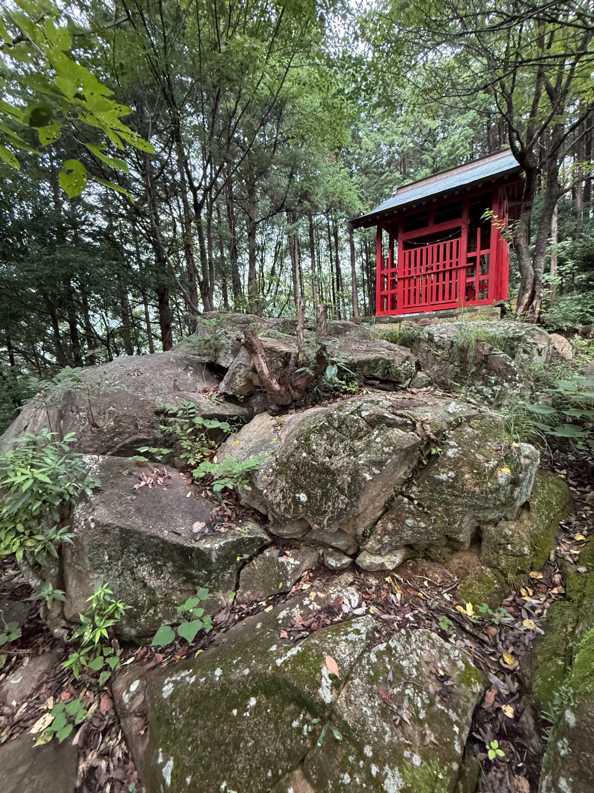 土塔山古墳（杉ノ木稲荷神社）｜丘に君臨した首長の眠りと、朱の稲荷