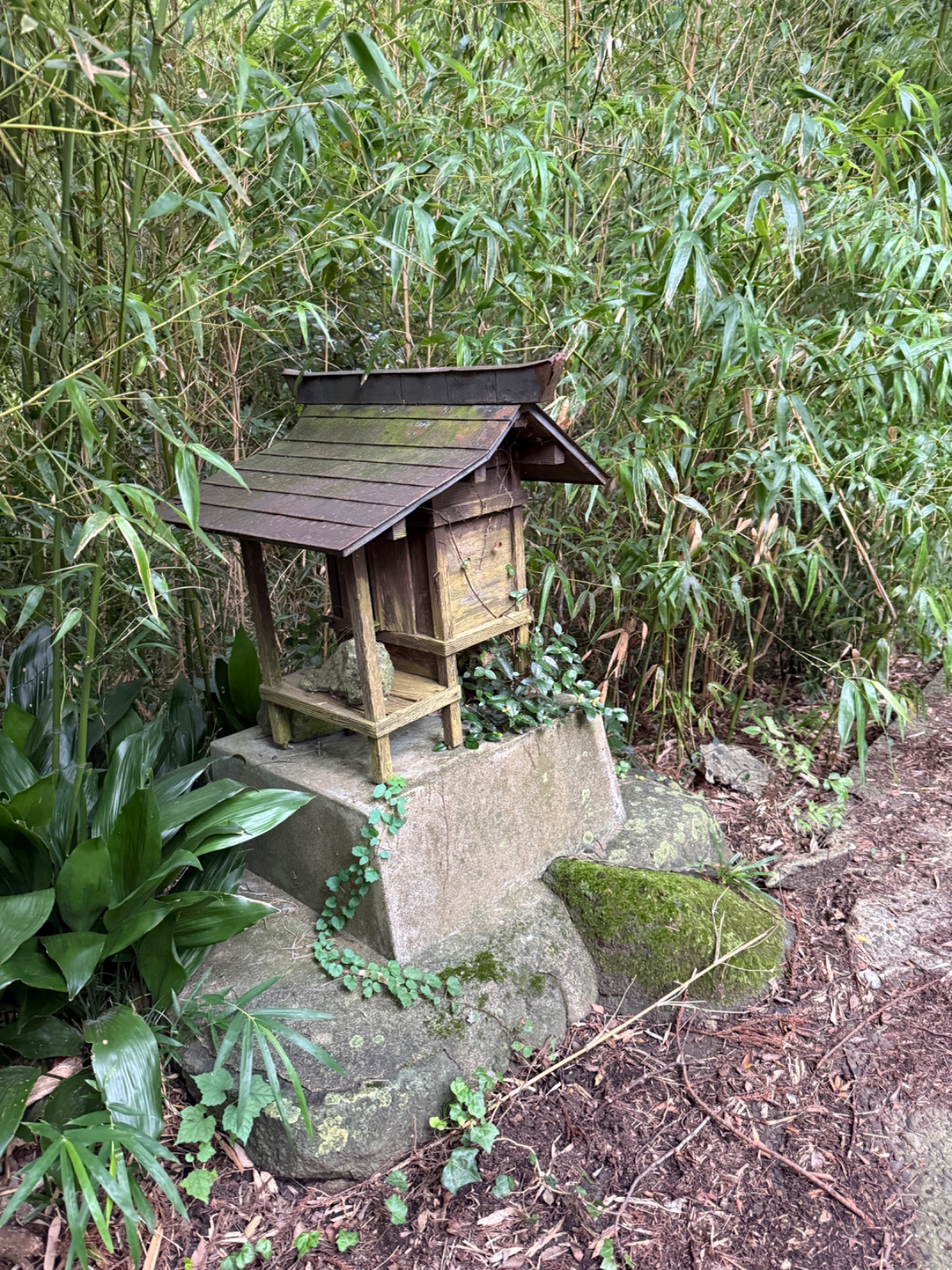 判読不能｜筑波の竹叢に伏す、名を告げぬ小祠