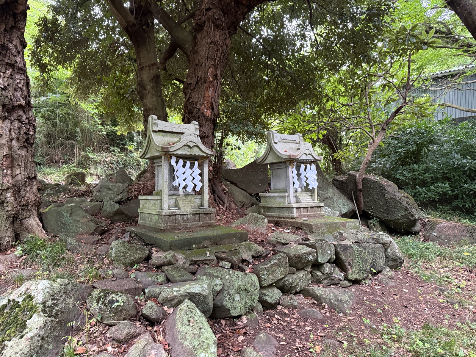 八坂神社｜御神木と磐座に寄り添う、筑波の丘の二祠