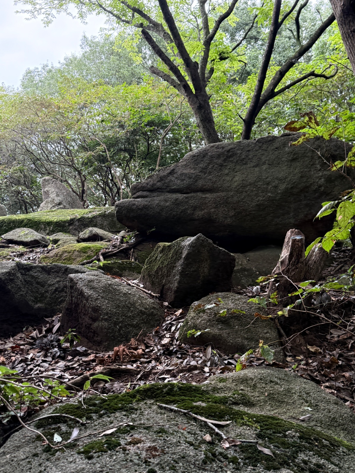 宮山石倉遺跡｜巨岩の頂に眠る、弘法の硯石伝説