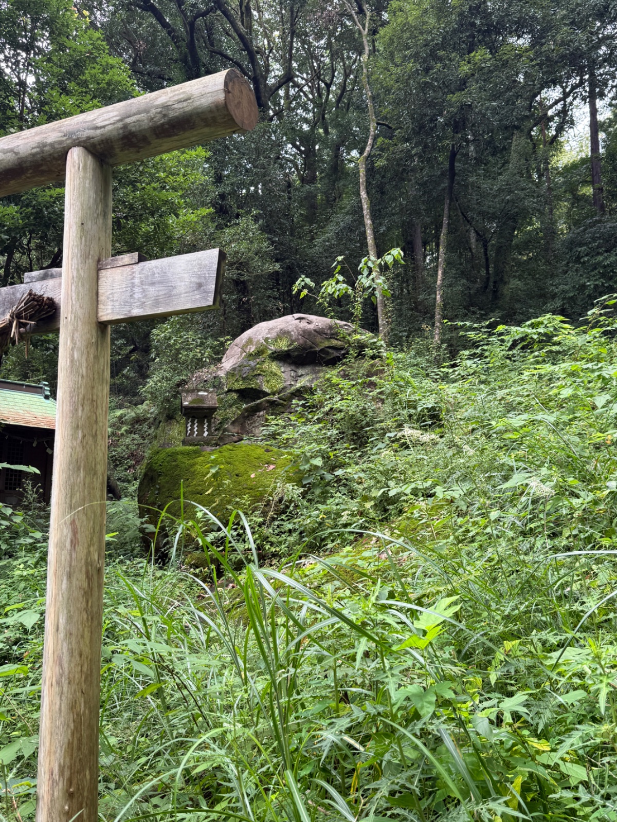 三宝大荒神｜岩に阿弥陀を刻み、火の荒神を祀る森