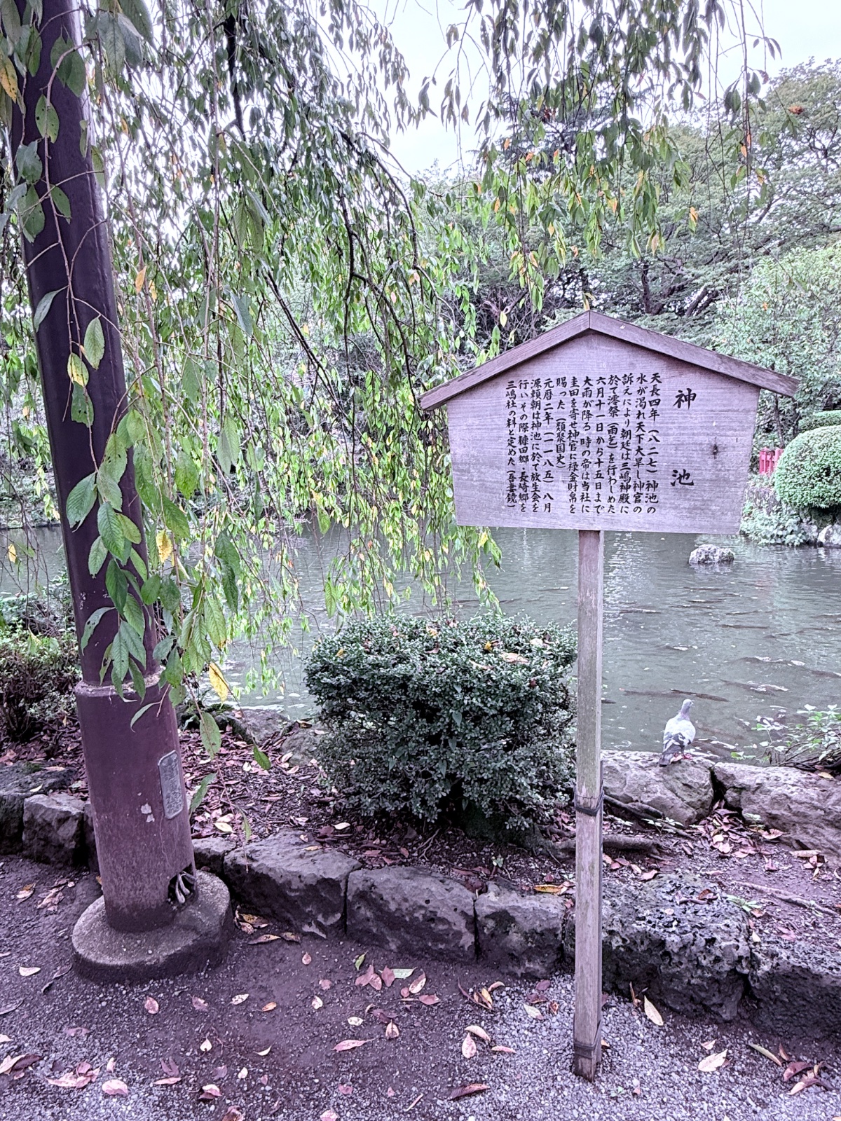 三嶋大社｜神池と祭神