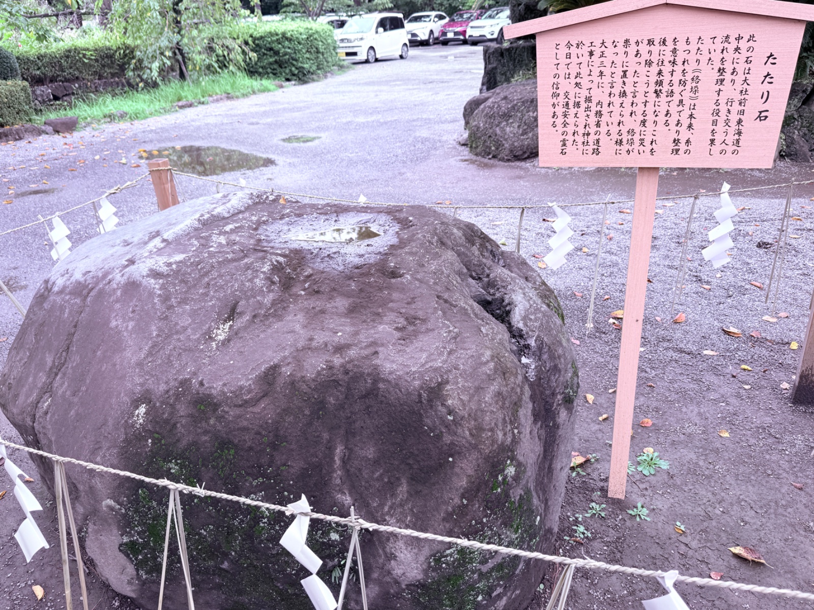 たたり石の記録写真