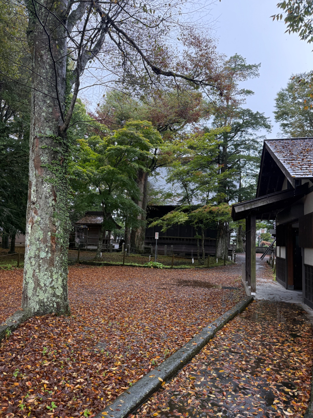 浅間神社の記録写真