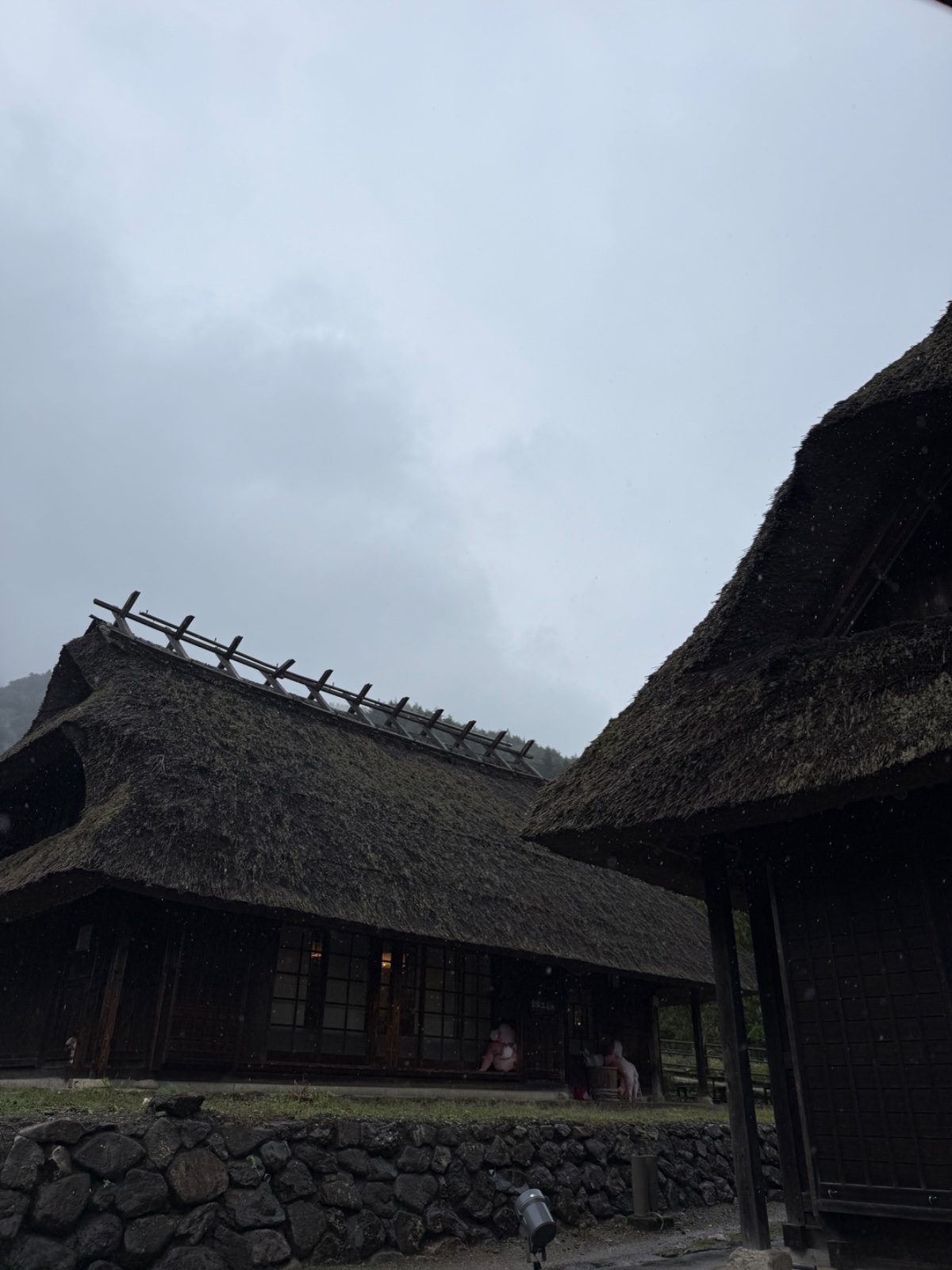 西湖いやしの里 根場の記録写真