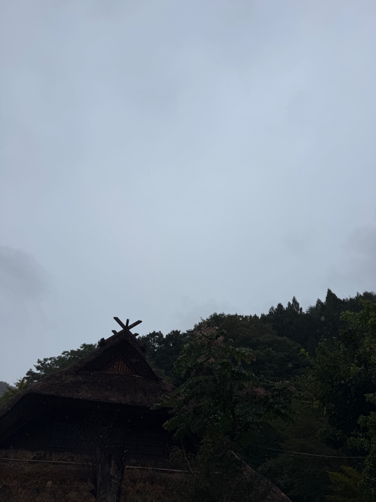 西湖いやしの里 根場の記録写真