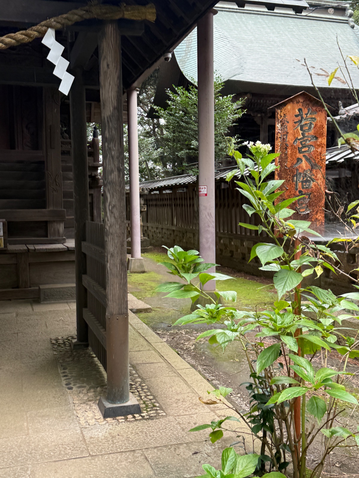 若宮八幡宮の記録写真