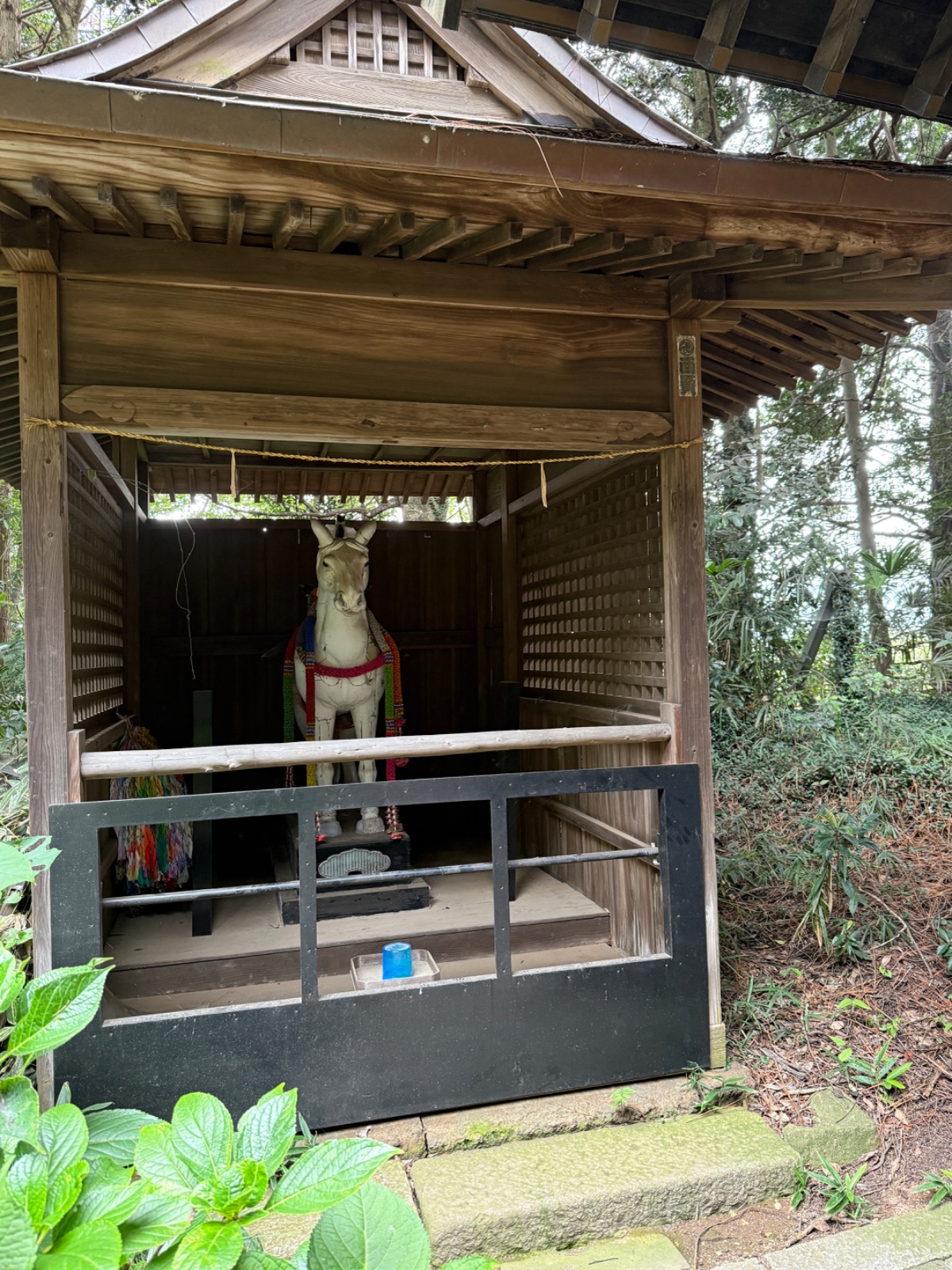 若宮八幡宮の記録写真